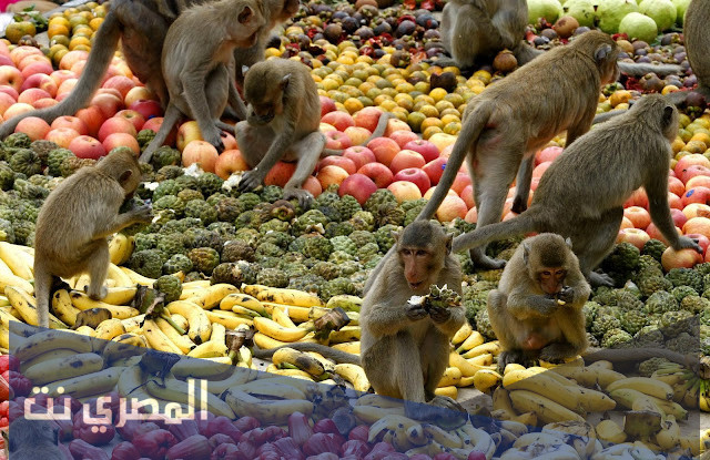 تعرف على أشهر عادات الشعب التايلندي