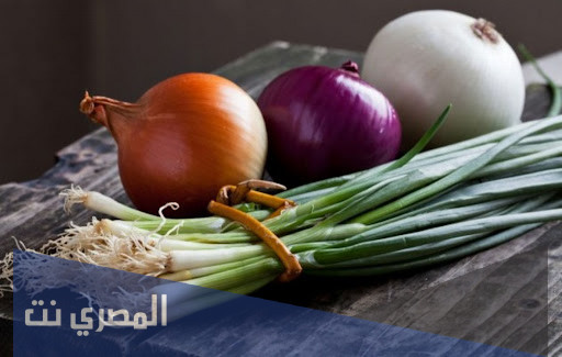 علاج الدود في المؤخرة وأسباب الإصابة والأعراض بالتفصيل