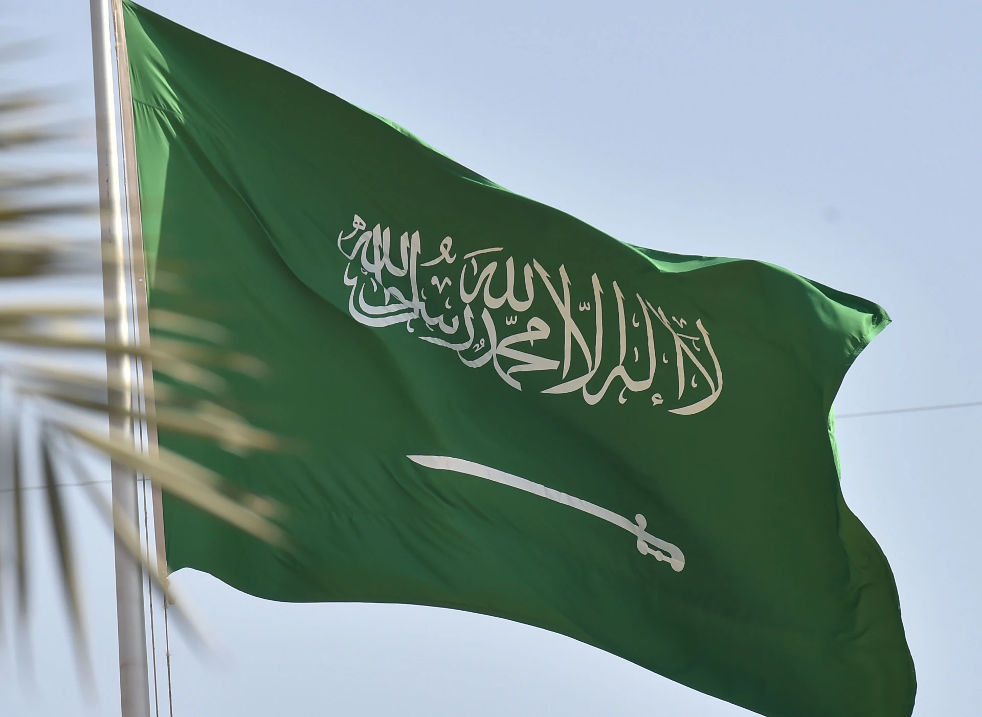 كم عدد مناطق المملكة العربية السعودية