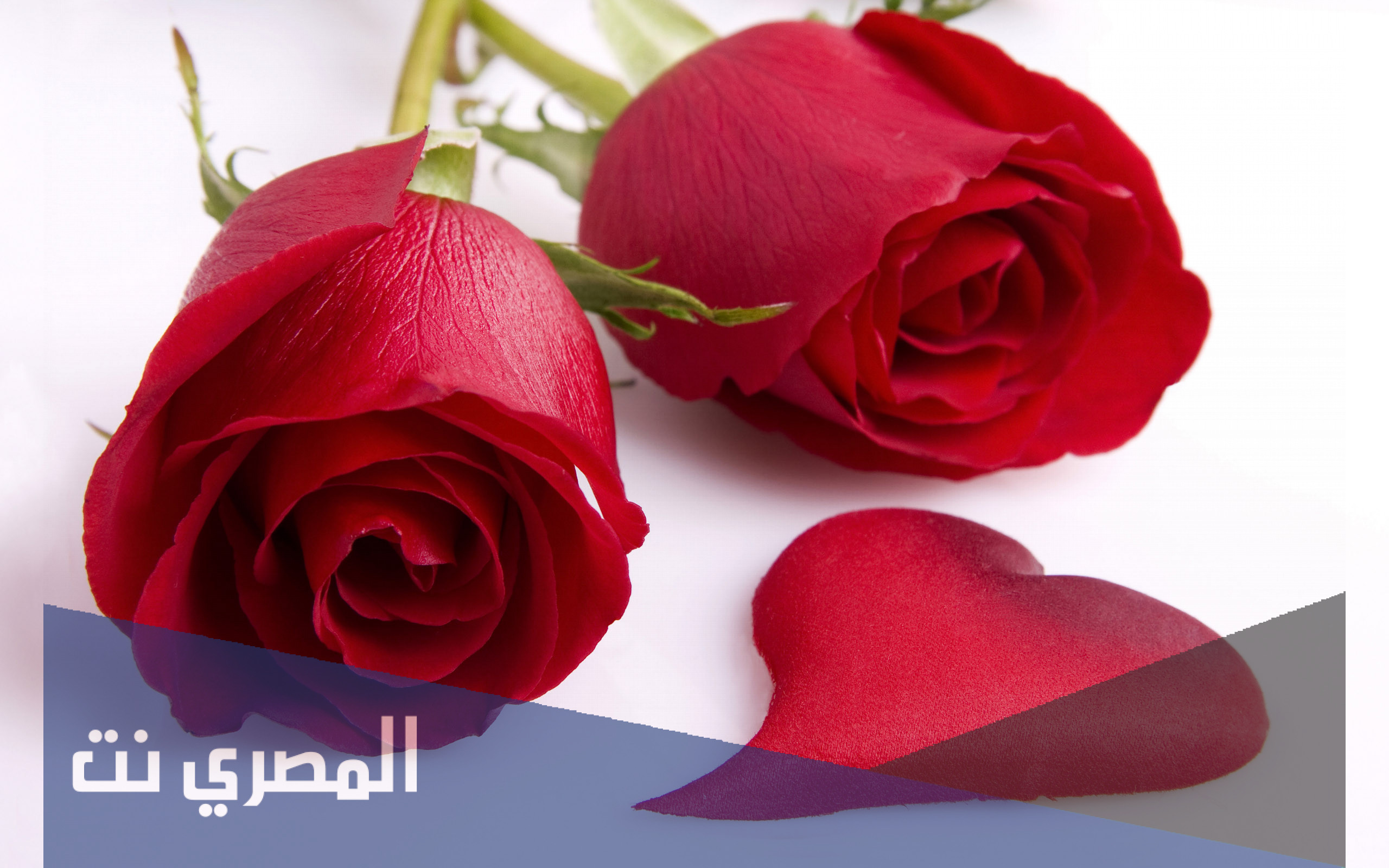 قصة فات على جوازنا اكتر من اربع شهور