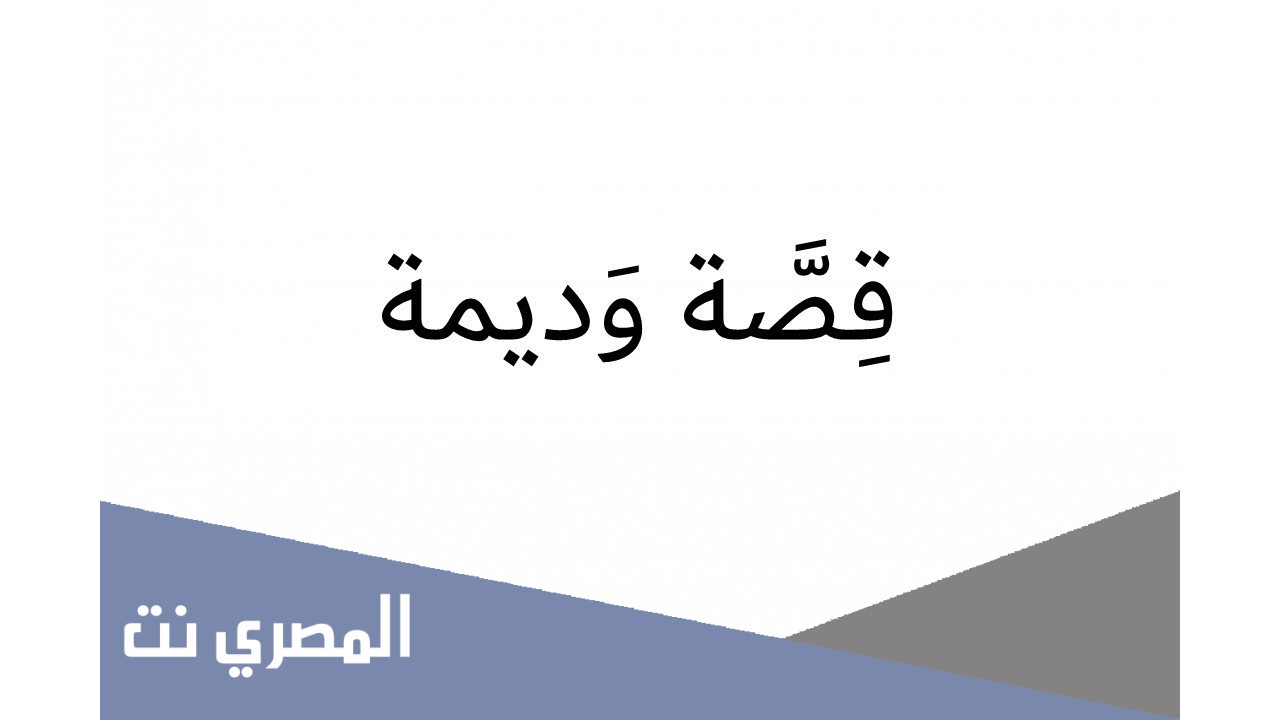 قصة وديمة التي هزت الامارات