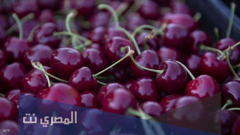 مزايا فاكهة الكرز 2022 وفوائده الغذائية