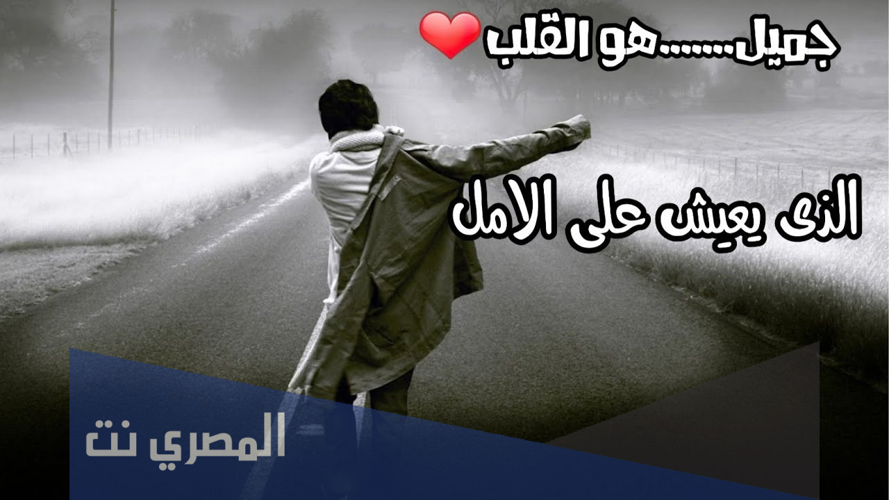 كلام من القلب بيوجع لكل مجروح