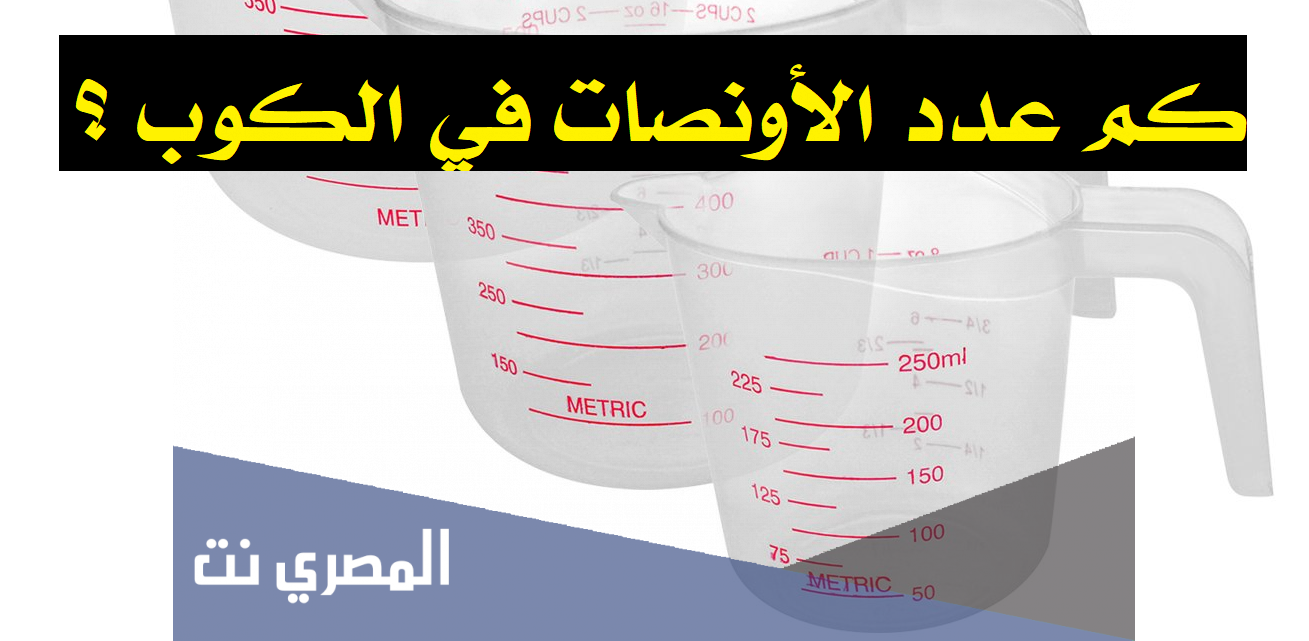 كم عدد الأونصات في الكوب