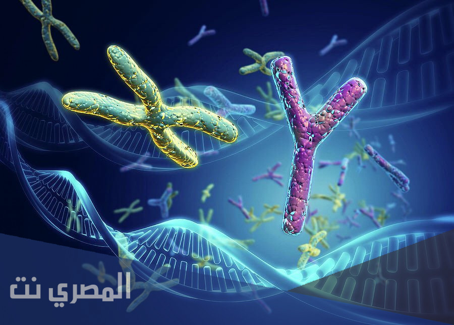 كم عدد الكروموسومات في جسم الانسان