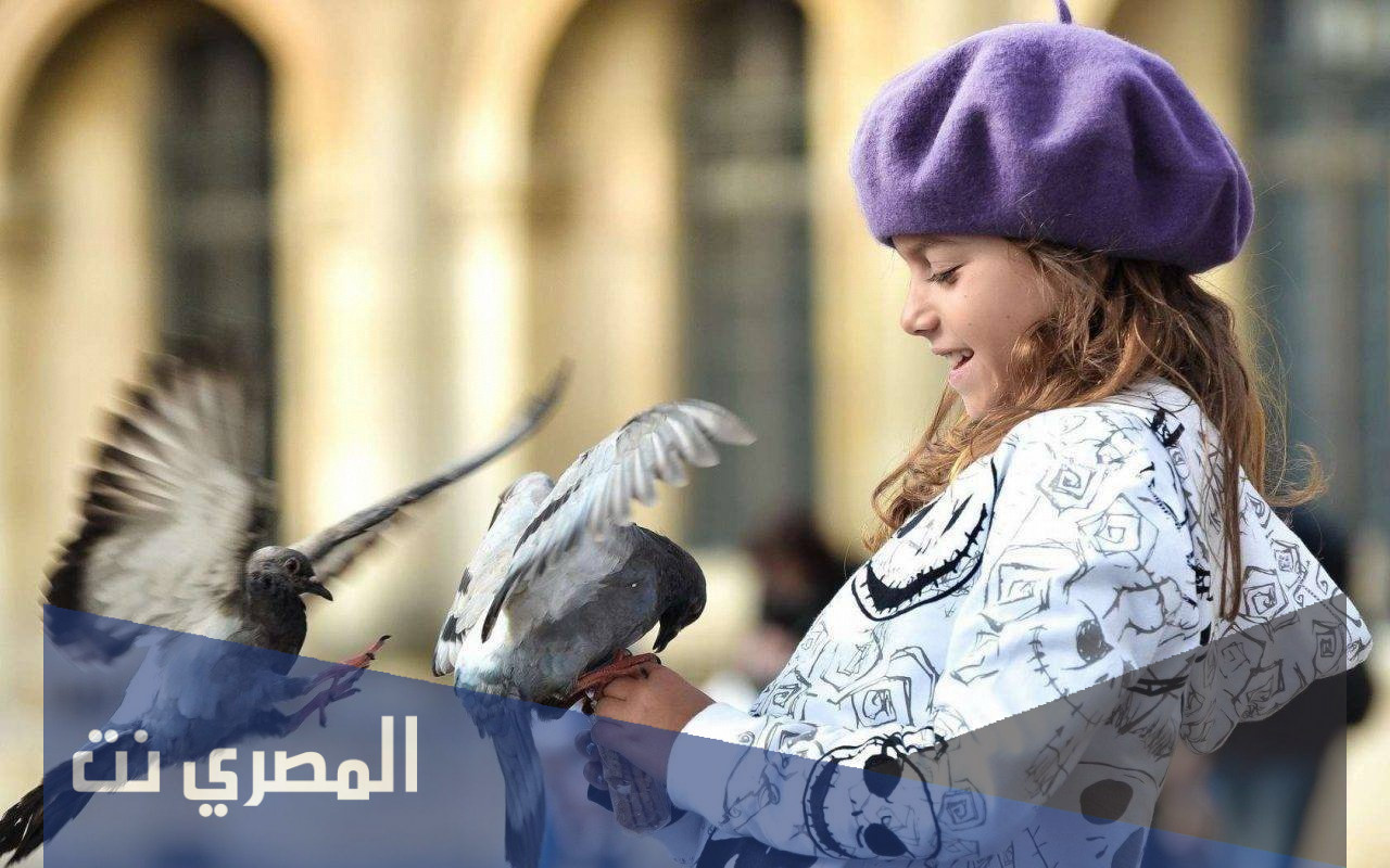 كم يبعد الطائر عن الولد؟