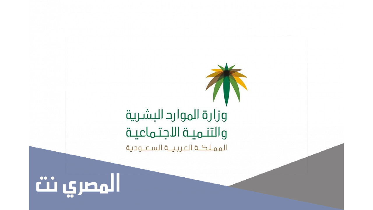 كيفية طباعة مشهد من الضمان الاجتماعي 2021 بالتفصيل