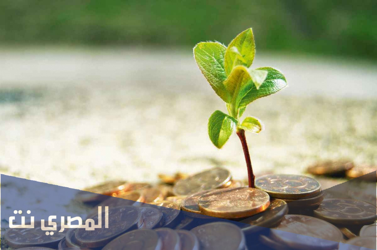 كيفية حساب زكاة المال بالجنيه المصرى