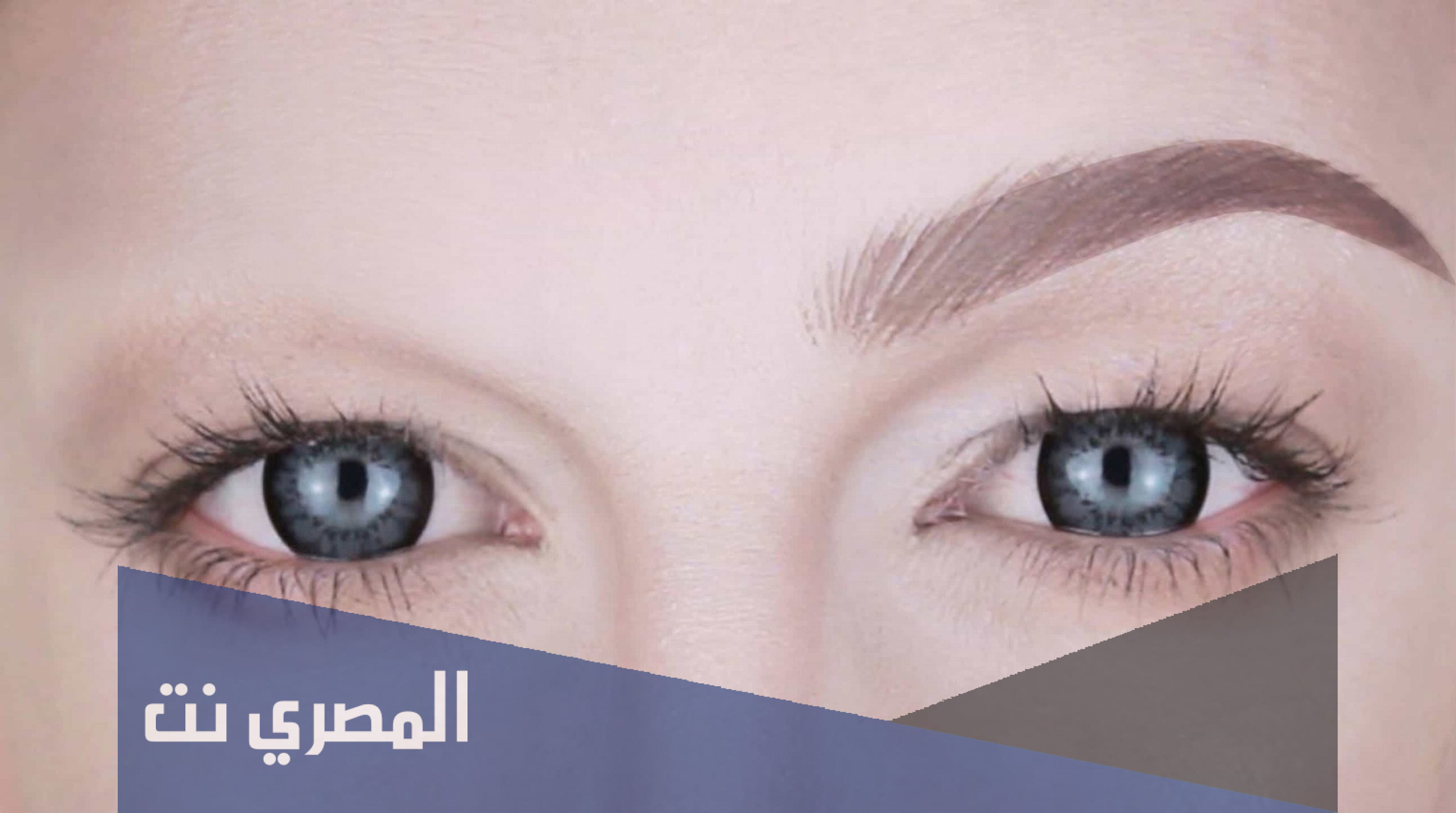 ما اسم العظم الذي ينبت عليه الحاجب