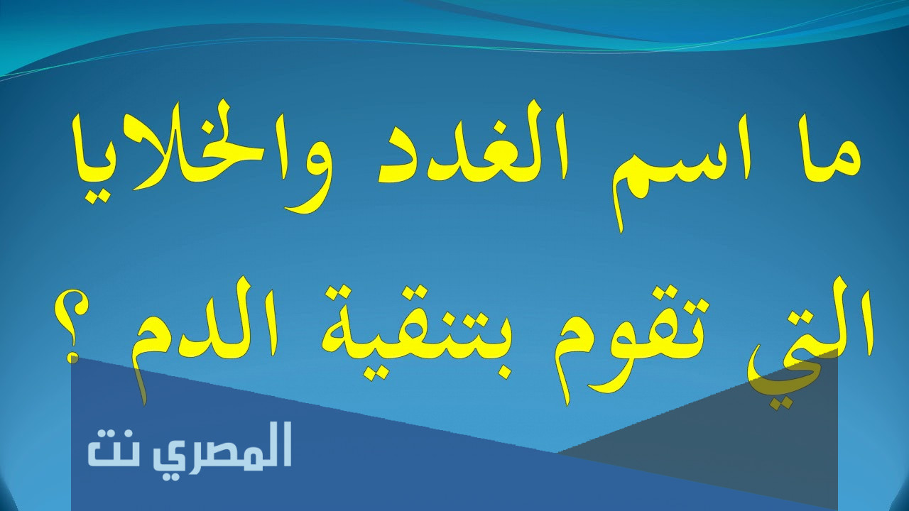 ما اسم الغدد والخلايا التي تقوم بتنقية الدم وتطهيره