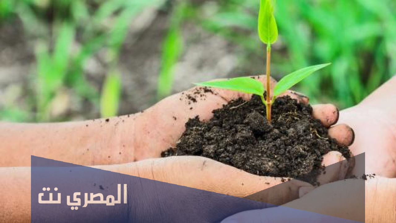ما هي اهميه المحللات في الطبيعه