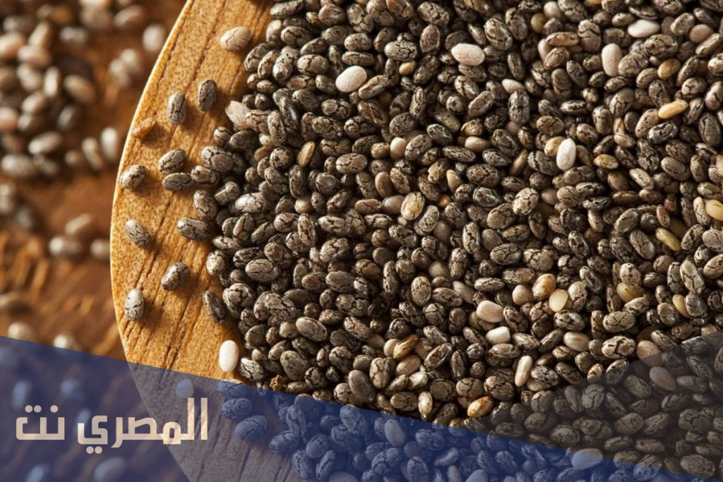 ما هي فوائد بذور الشيا لجسم الإنسان؟