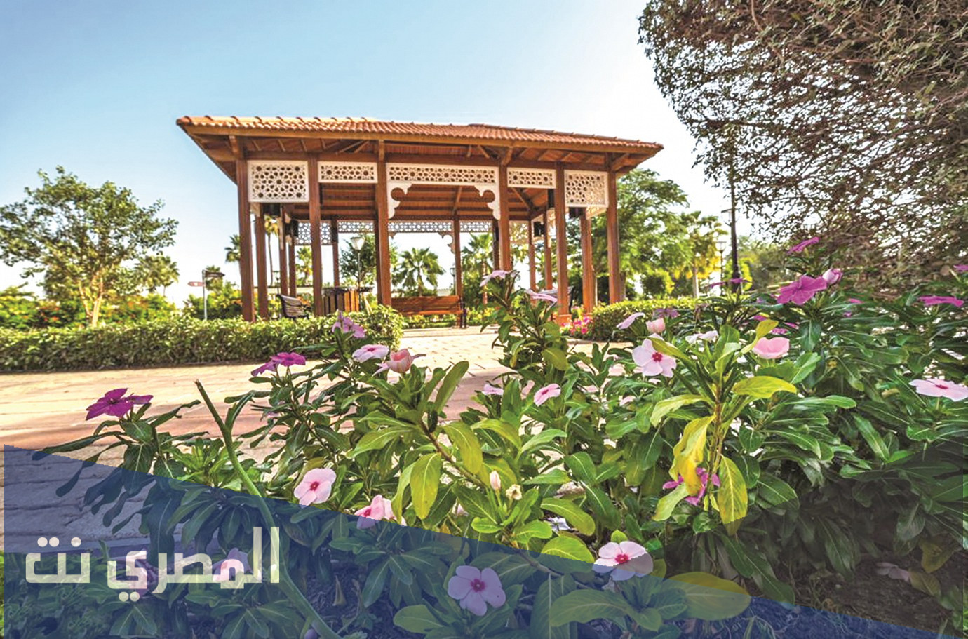 متى يوم التخضير العالمي ويكيبيديا