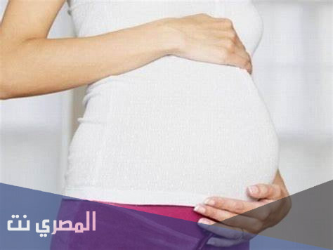 معلومات عن الحمل بولد