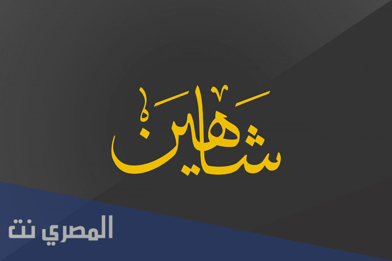 معنى اسم شاهين وصفات حامل الاسم وحكم التسمية به في الإسلام