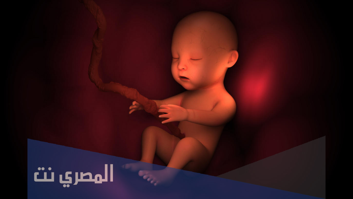 أشياء يفعلها الجنين في الرحم طوال اليوم خلال الأشهر الأخيرة