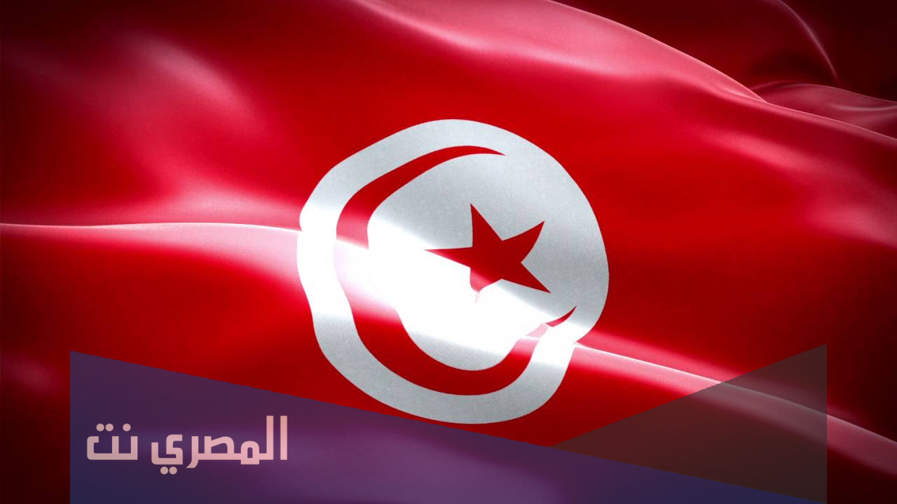 نصر الدين النصيبي السيرة الذاتية