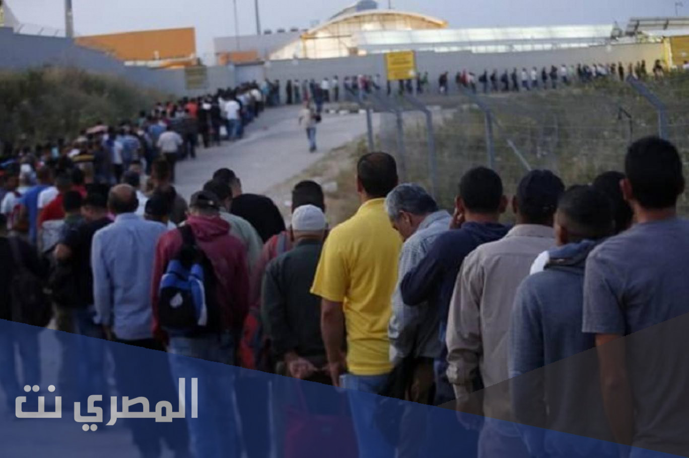 رابط تسجيل عمال اسرائيل وزارة العمل