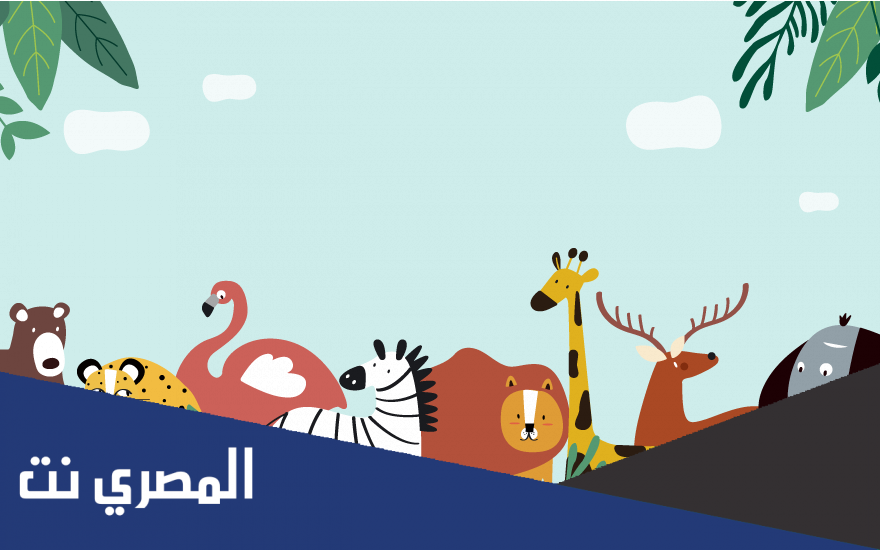 اسم حيوان بحرف الواو