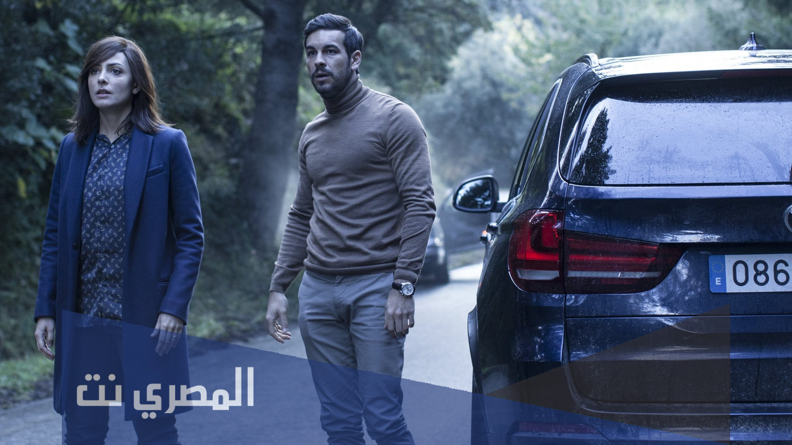 قصة فيلم the guest