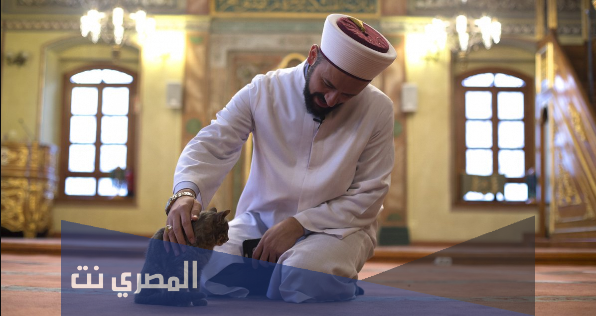 أرقام شيوخ الرقية الشرعية في جدة