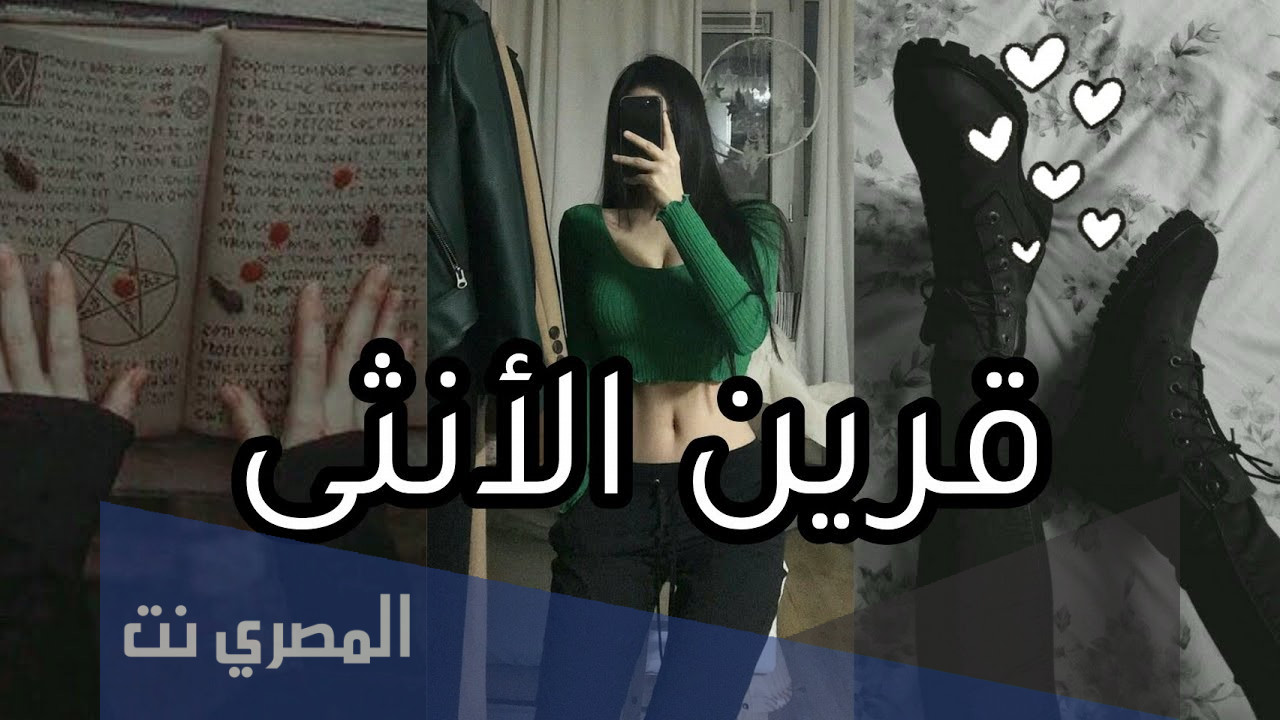 أهم المعلومات عن قرين الأنثى