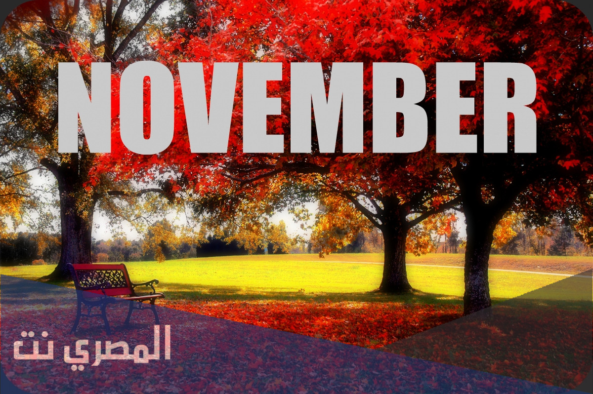 اجمل عبارات عن شهر نوفمبر 2022