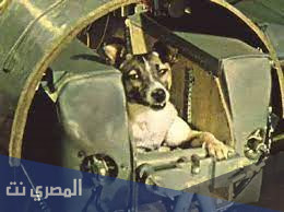 اسم كلبة صعدت الى الفضاء