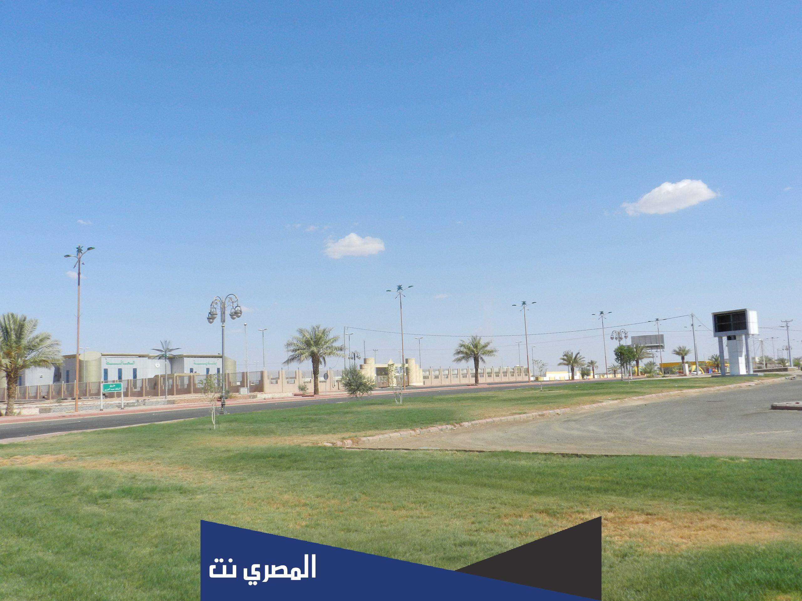 الحايطي وش يرجعون