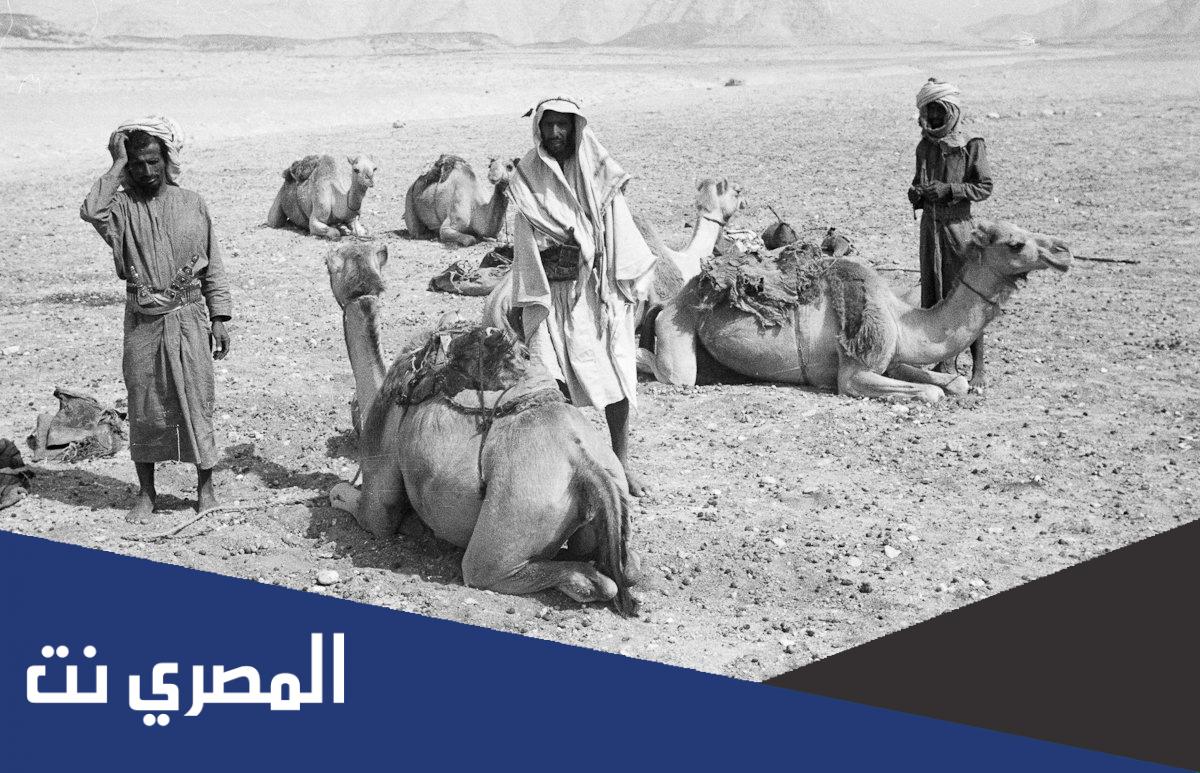 الحمدان وش يرجعون