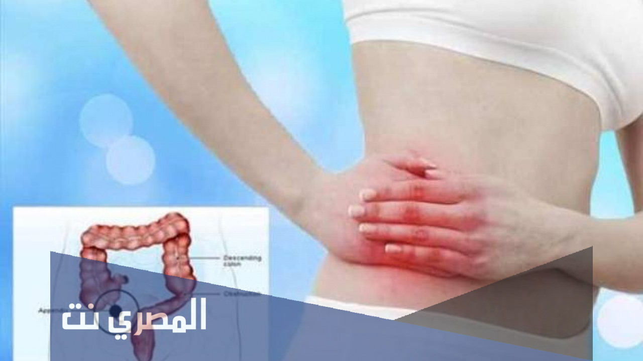 الزايده اين تقع