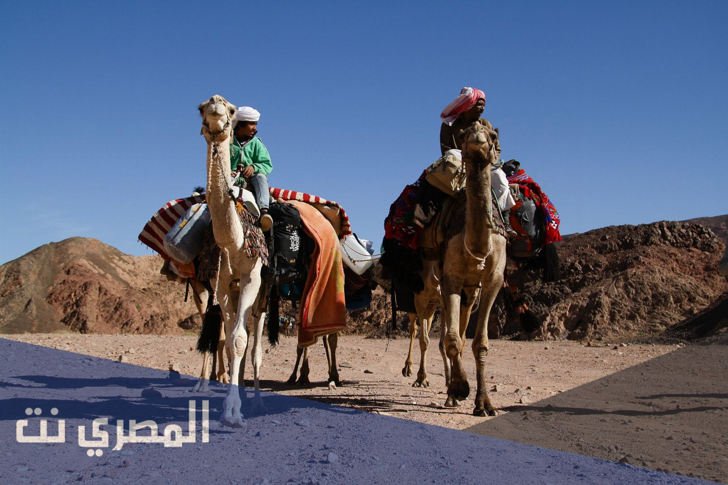 الشهابي وش يرجعون
