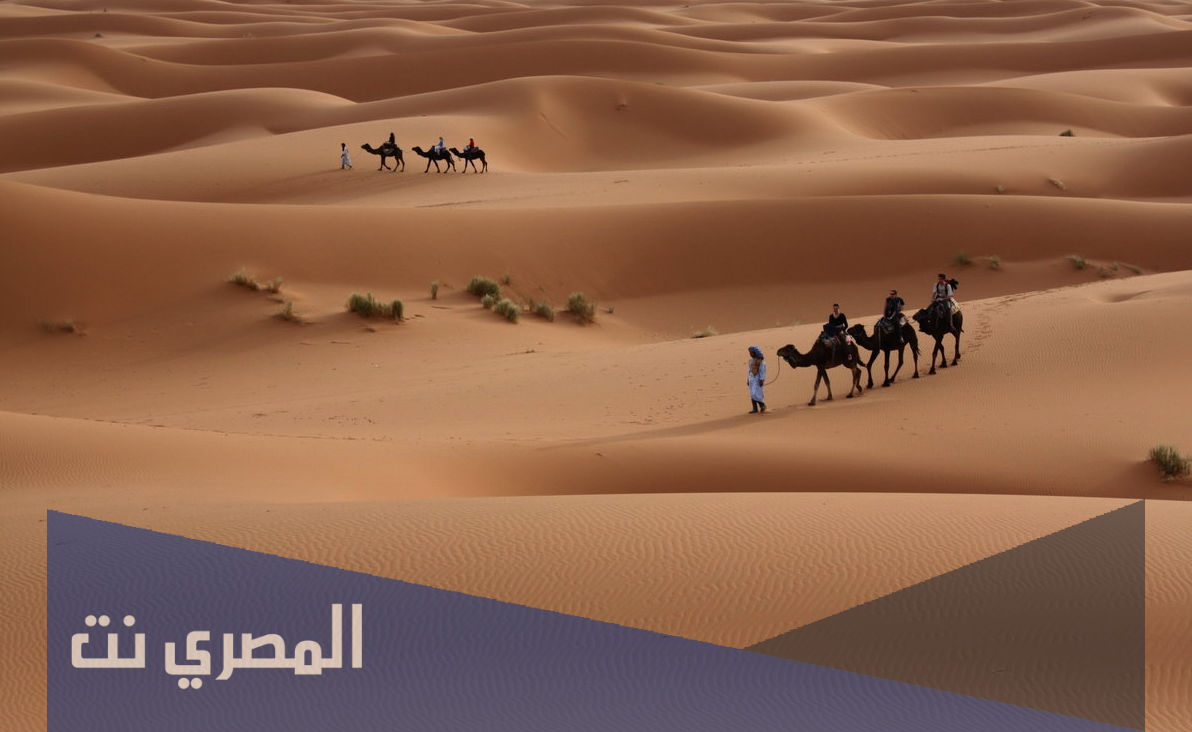 العدواني وش يرجع