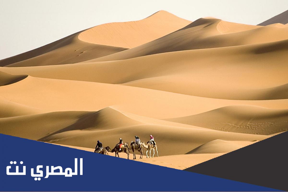 الوايلي وش يرجعون