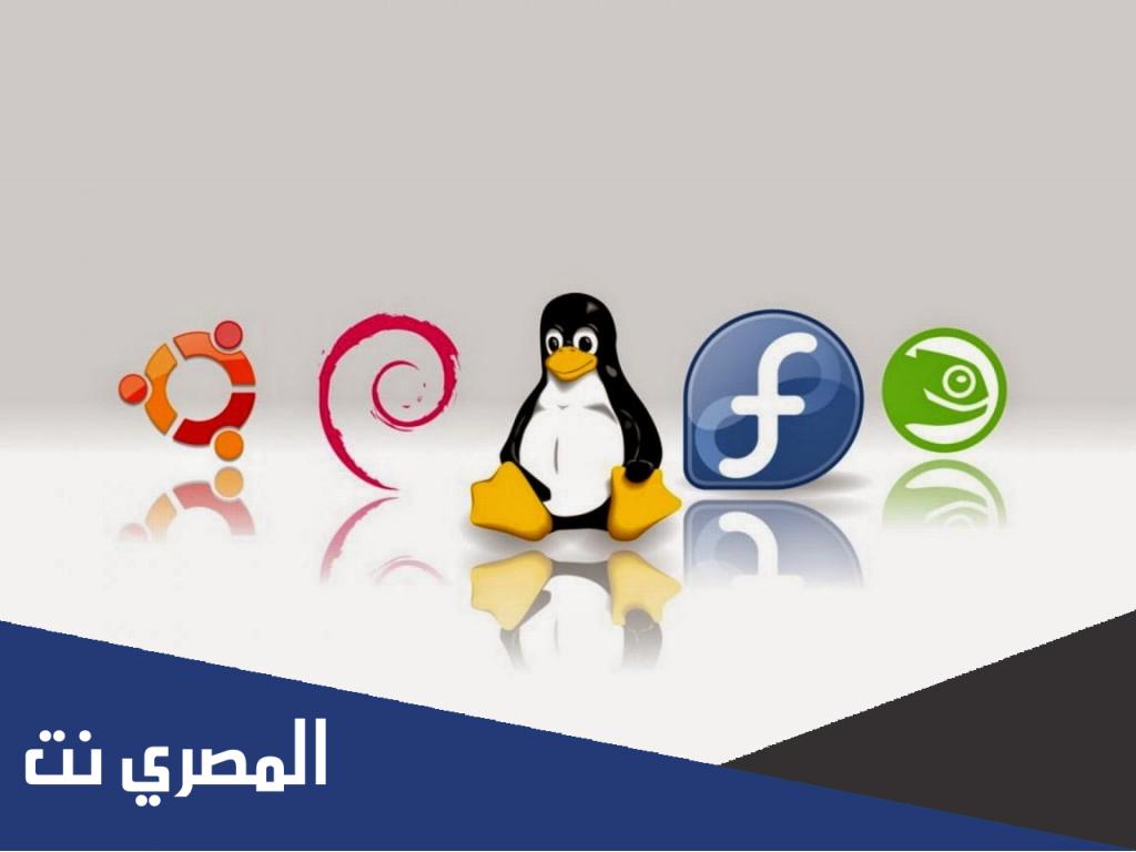 اهم المراجع والمواقع التي تقدم دعما فنيا للتوزيعة