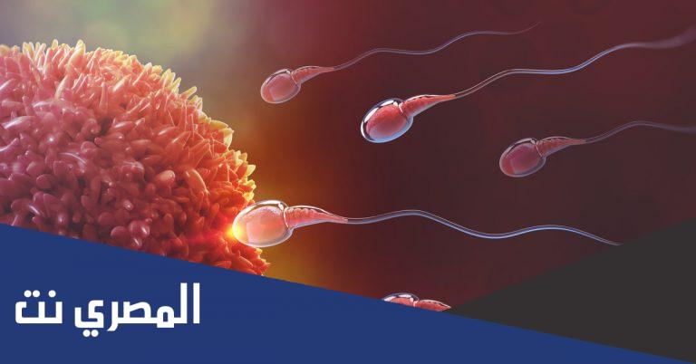 اين تحدث عملية الاخصاب