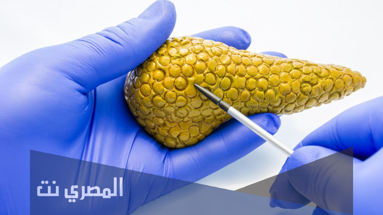 اين تقع جزر لانغرهانس