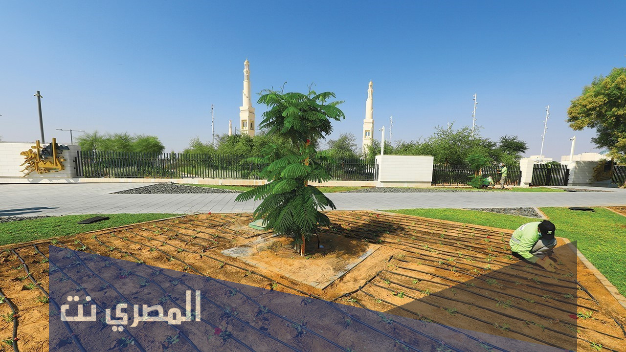 اين تقع منطقة ملاقط