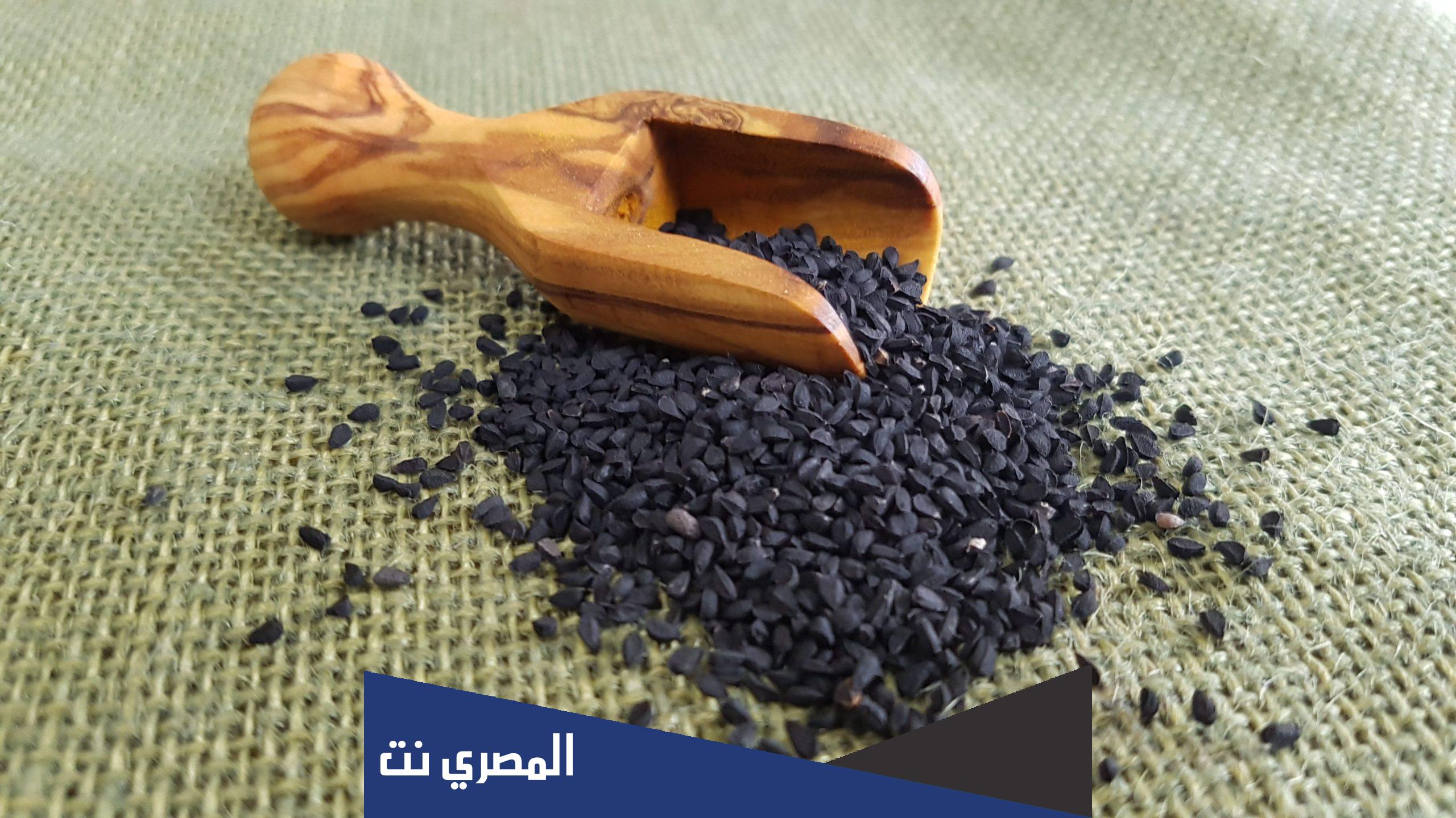 تجربتي مع الحبه السوداء
