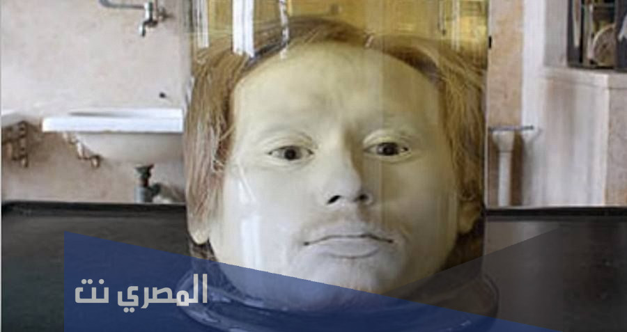 دييغو الفيس السفاح ويكيبيديا
