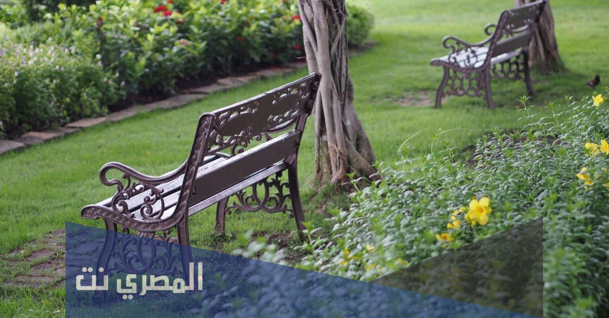 رسومات عن المحافظة على الممتلكات العامة