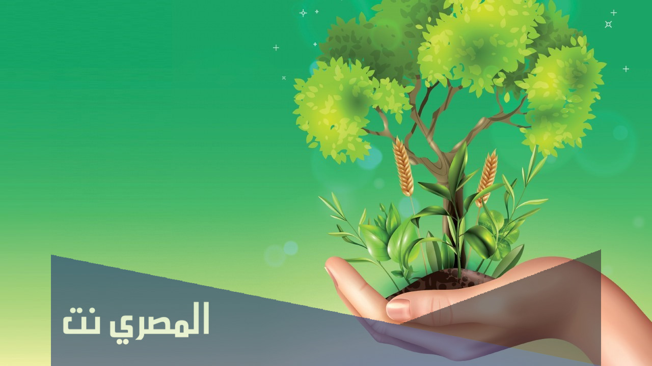 ما هي الإجراءات التي يمكن للناس اتخاذها للعناية بالبيئة