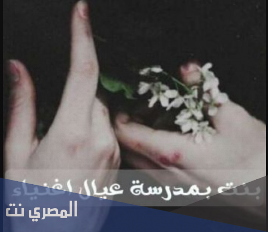 روايه بنت بمدرسه عيال اغنياء كاملة pdf
