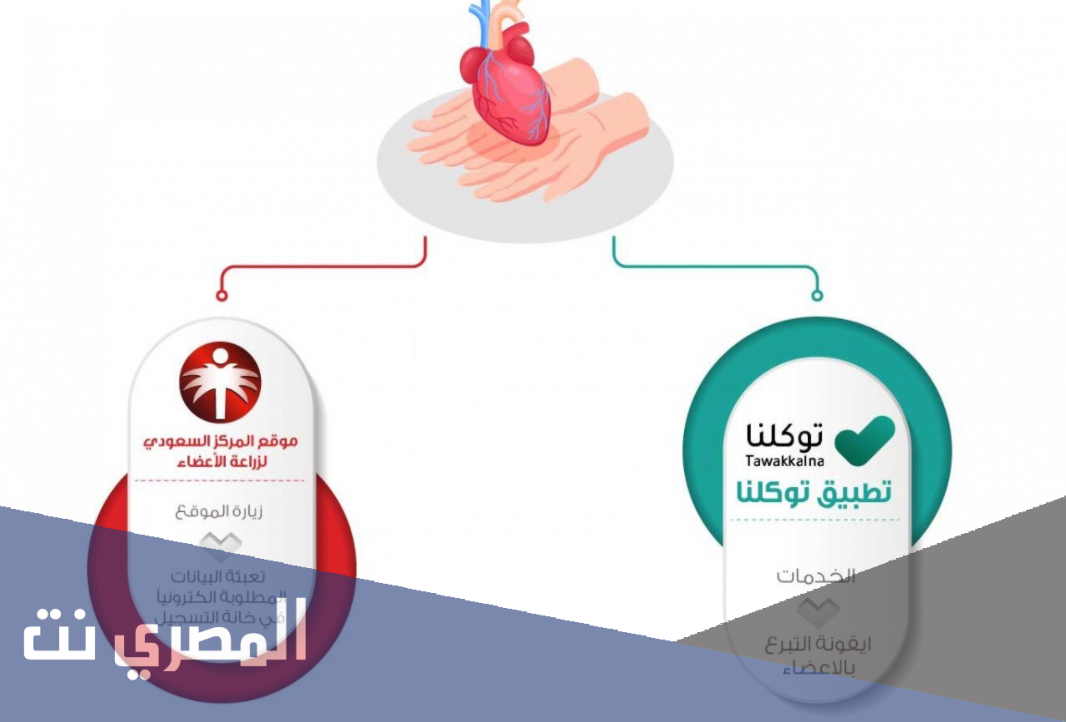 طريقة التبرع بالأعضاء في السعودية عبر تطبيق توكلنا 1443