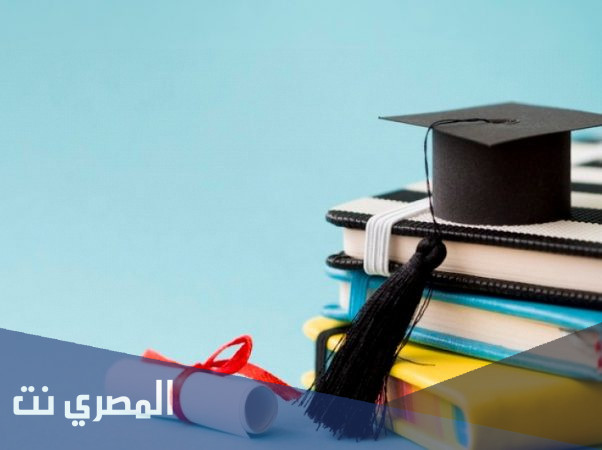 عبارات تكتب في السيرة الذاتية 2022