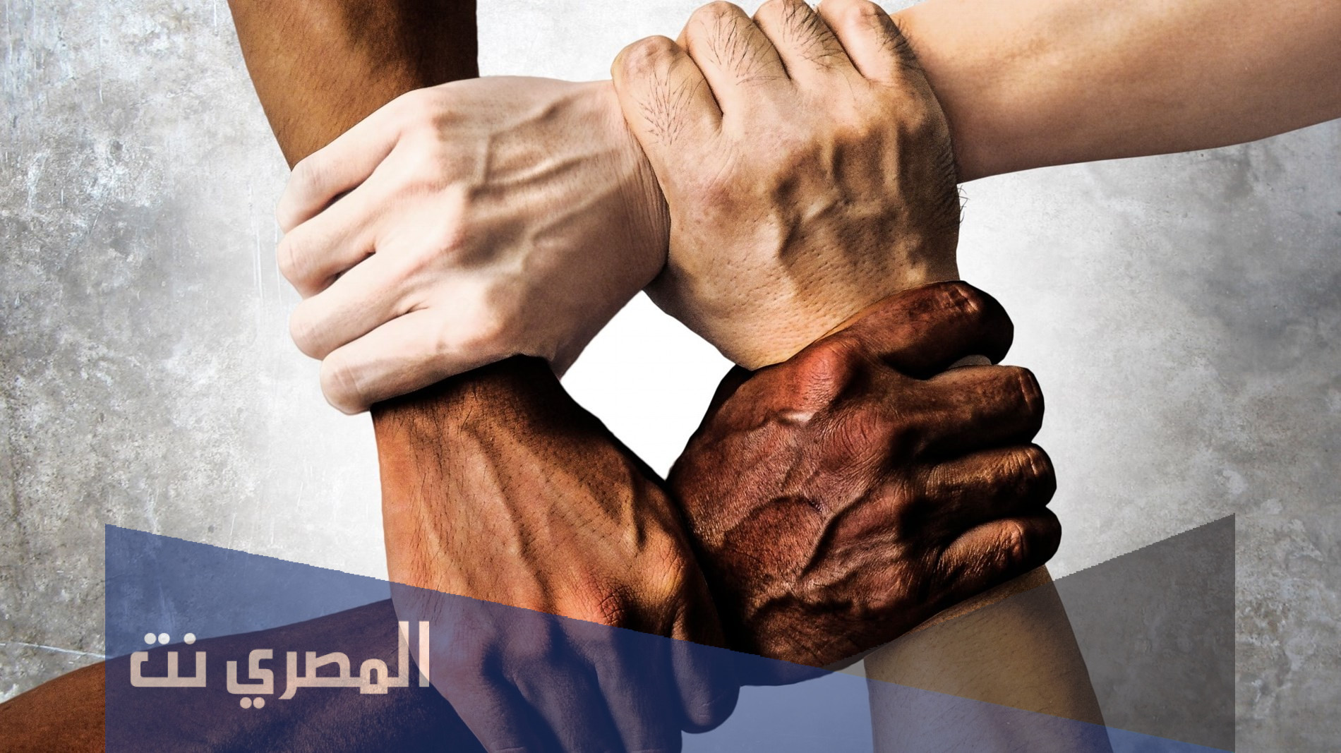 فعاليات عن التسامح في الامارات 2021