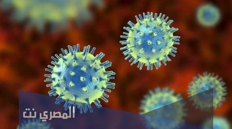 اعراض فيروس هيهي المنتشر في الصين