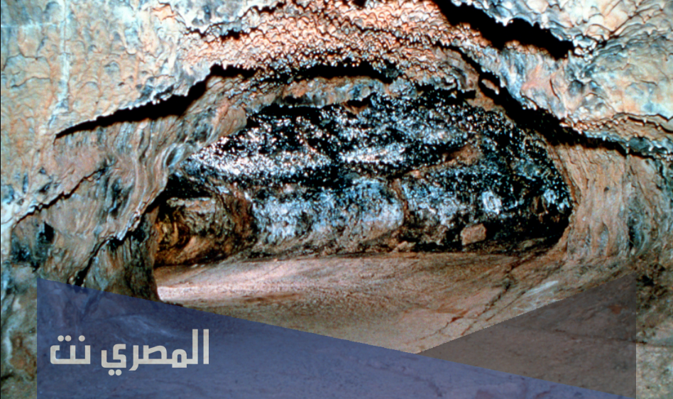 كم عدد اصحاب الكهف