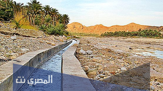 كم عدد الأفلاج في سلطنة عمان