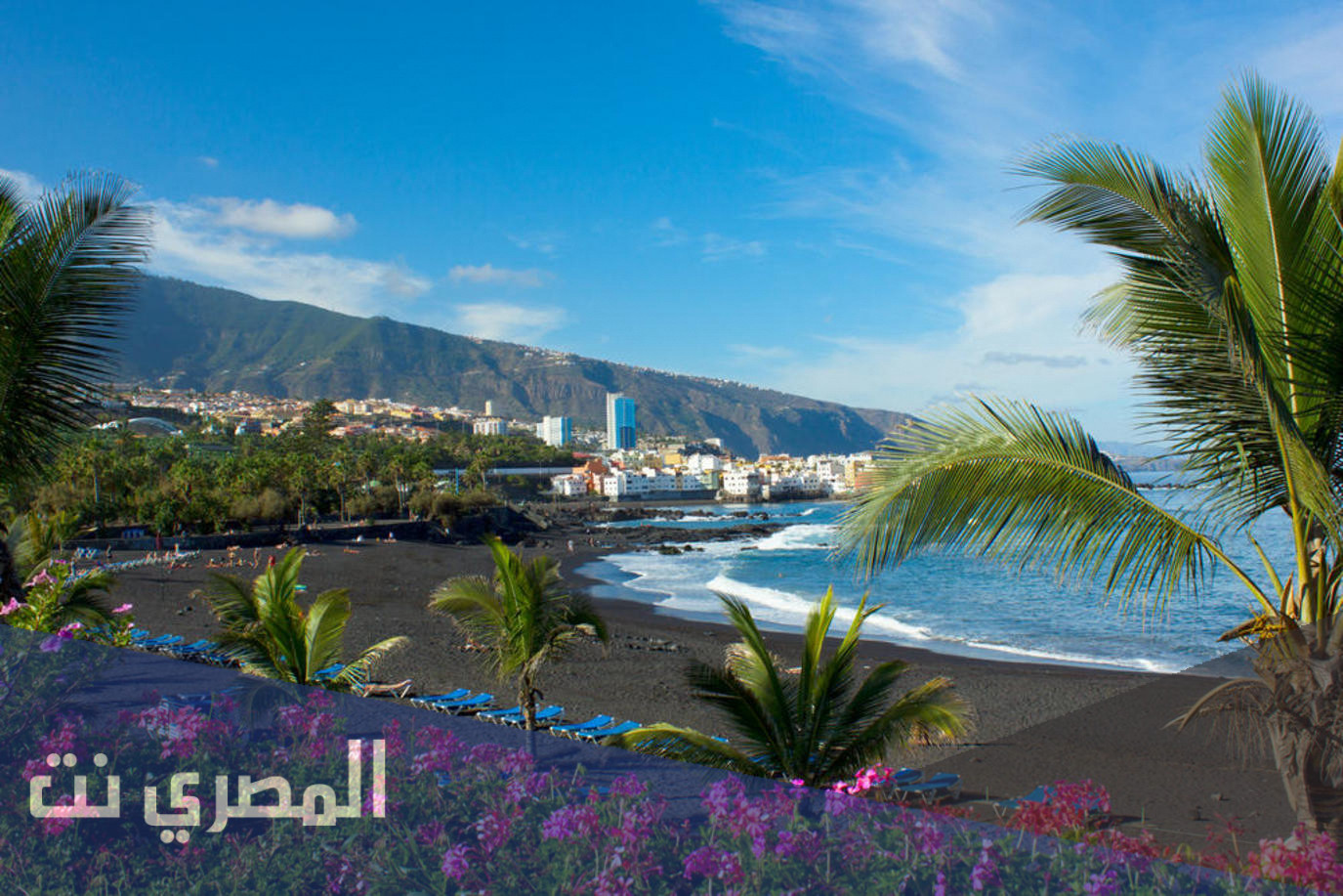 كم عدد جزر الكناري في العالم